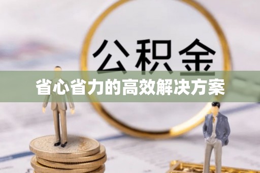 阜沙省心省力的高效解决方案