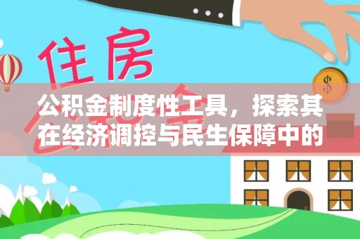 阜沙公积金制度性工具，探索其在经济调控与民生保障中的重要作用