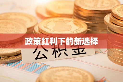 阜沙政策红利下的新选择
