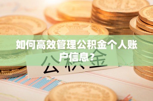 阜沙如何高效管理公积金个人账户信息？