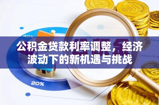 阜沙公积金贷款利率调整，经济波动下的新机遇与挑战