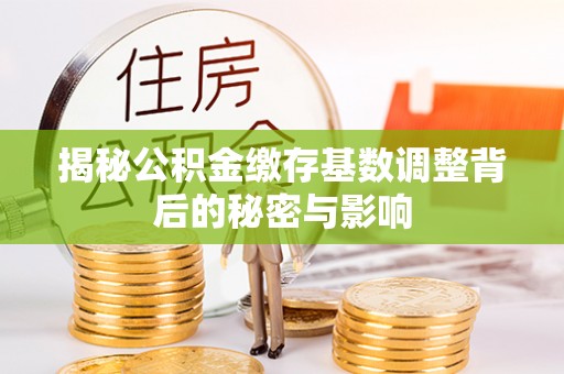 阜沙揭秘公积金缴存基数调整背后的秘密与影响