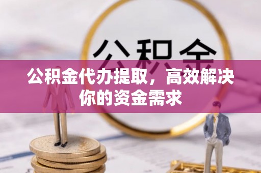 阜沙公积金代办提取，高效解决你的资金需求