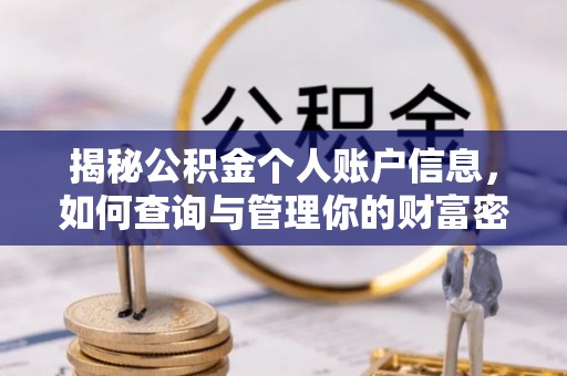 阜沙揭秘公积金个人账户信息，如何查询与管理你的财富密码