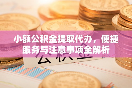 阜沙小额公积金提取代办，便捷服务与注意事项全解析