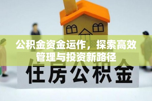 阜沙公积金资金运作，探索高效管理与投资新路径