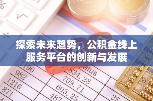 阜沙探索未来趋势，公积金线上服务平台的创新与发展