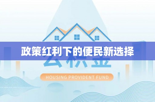 阜沙政策红利下的便民新选择