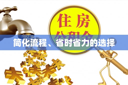 阜沙简化流程、省时省力的选择