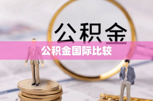阜沙公积金国际比较