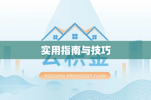 阜沙实用指南与技巧