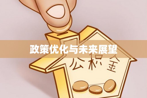 阜沙政策优化与未来展望
