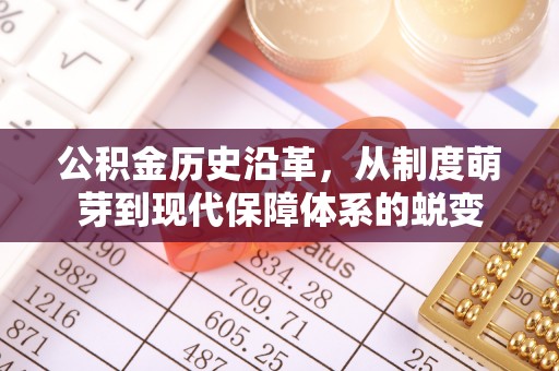 阜沙公积金历史沿革，从制度萌芽到现代保障体系的蜕变