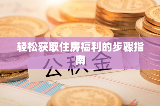阜沙轻松获取住房福利的步骤指南
