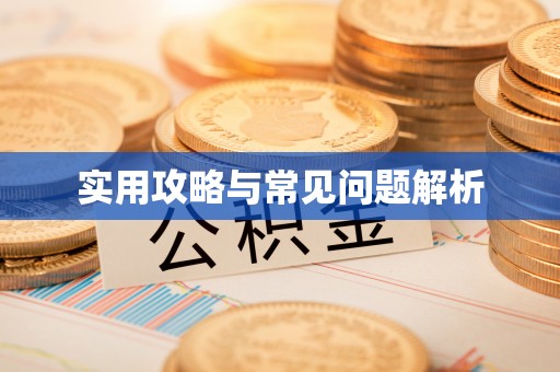 阜沙实用攻略与常见问题解析