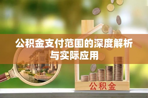 阜沙公积金支付范围的深度解析与实际应用