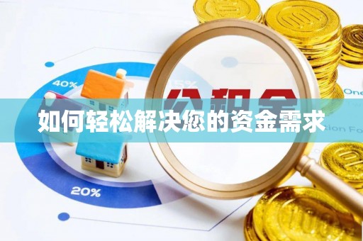 阜沙如何轻松解决您的资金需求