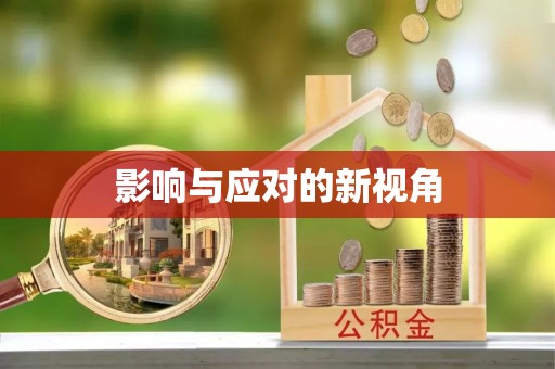 阜沙影响与应对的新视角