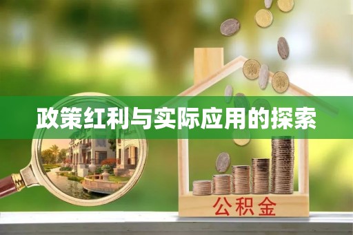 阜沙政策红利与实际应用的探索