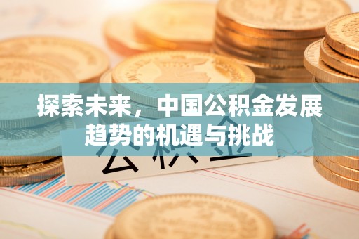 阜沙探索未来，中国公积金发展趋势的机遇与挑战