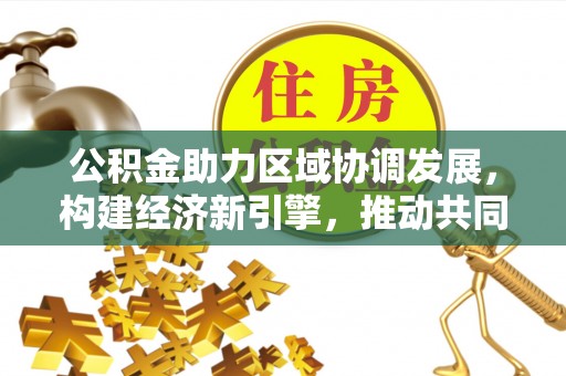 阜沙公积金助力区域协调发展，构建经济新引擎，推动共同富裕