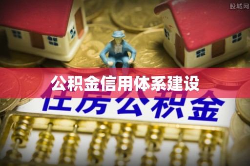 阜沙公积金信用体系建设