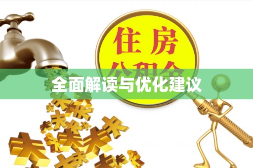 阜沙全面解读与优化建议