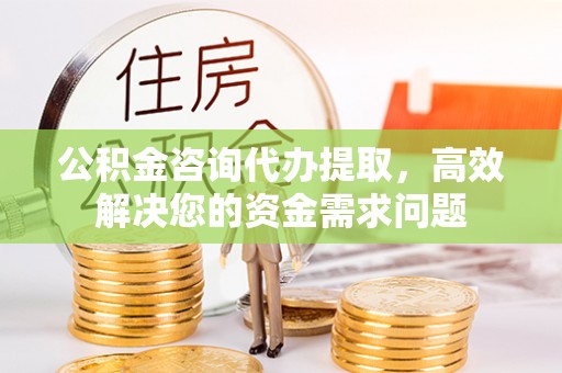 阜沙公积金咨询代办提取，高效解决您的资金需求问题