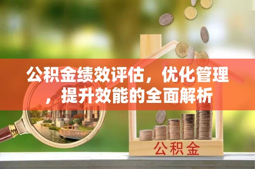阜沙公积金绩效评估，优化管理，提升效能的全面解析