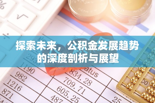 阜沙探索未来，公积金发展趋势的深度剖析与展望