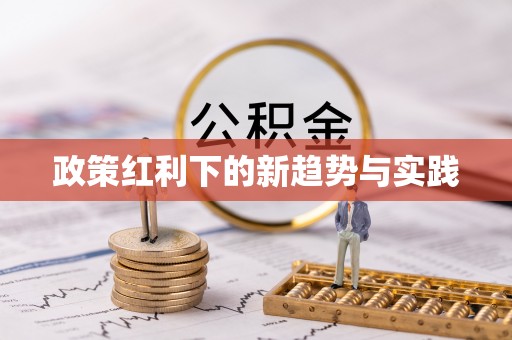 阜沙政策红利下的新趋势与实践