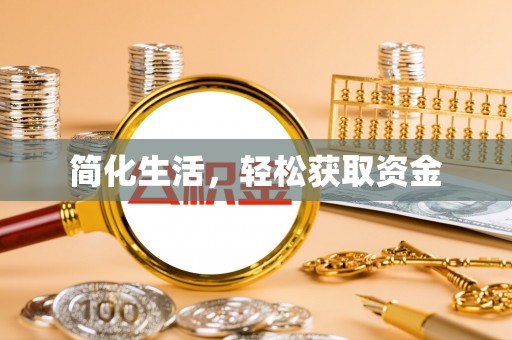 阜沙简化生活，轻松获取资金