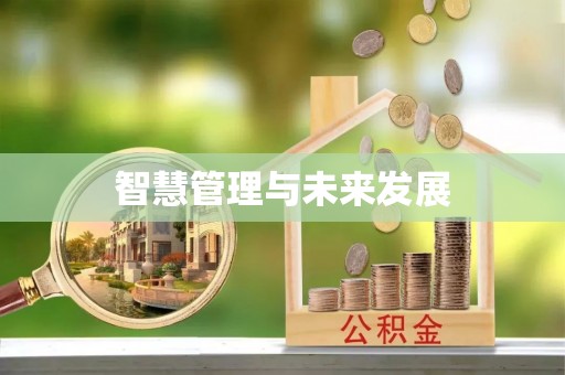 阜沙智慧管理与未来发展