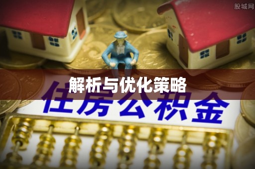 阜沙解析与优化策略
