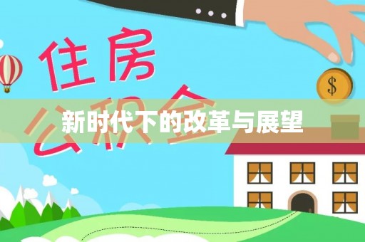 阜沙新时代下的改革与展望