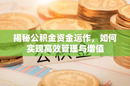 阜沙揭秘公积金资金运作，如何实现高效管理与增值