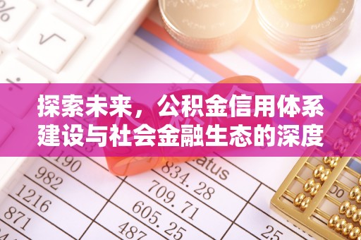 阜沙探索未来，公积金信用体系建设与社会金融生态的深度融合
