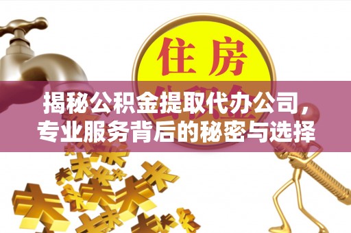 阜沙揭秘公积金提取代办公司，专业服务背后的秘密与选择指南