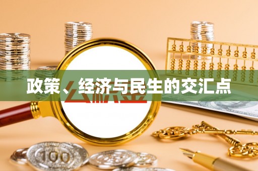 阜沙政策、经济与民生的交汇点
