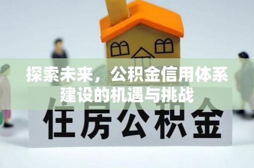 阜沙探索未来，公积金信用体系建设的机遇与挑战