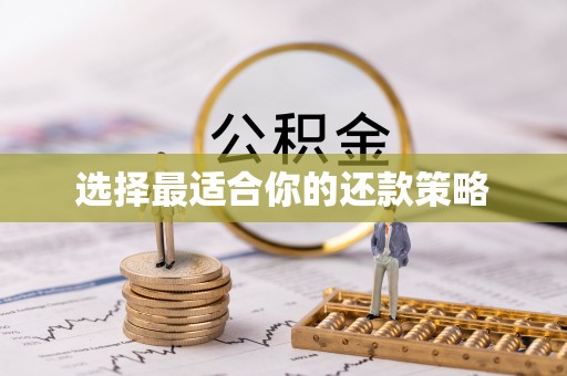 阜沙选择最适合你的还款策略