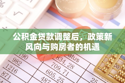 阜沙公积金贷款调整后，政策新风向与购房者的机遇