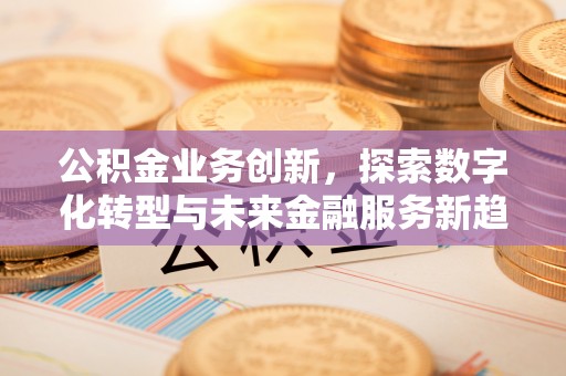 阜沙公积金业务创新，探索数字化转型与未来金融服务新趋势