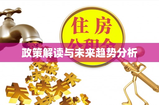 阜沙政策解读与未来趋势分析