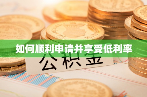 阜沙如何顺利申请并享受低利率