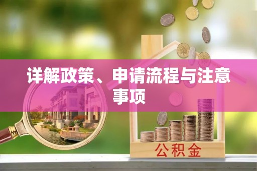 阜沙详解政策、申请流程与注意事项