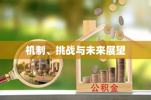 阜沙机制、挑战与未来展望
