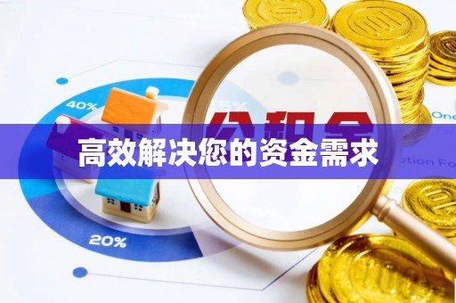 阜沙高效解决您的资金需求