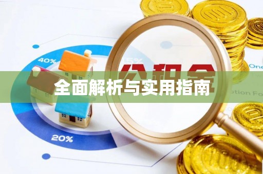 阜沙全面解析与实用指南