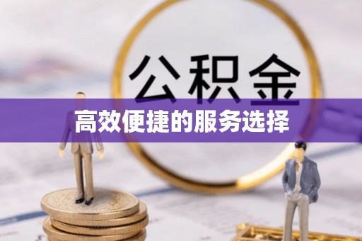 阜沙高效便捷的服务选择